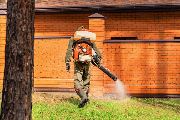 Trusted Bed Bug Control service in Willoughby Hills, OH - Nex Pest Control